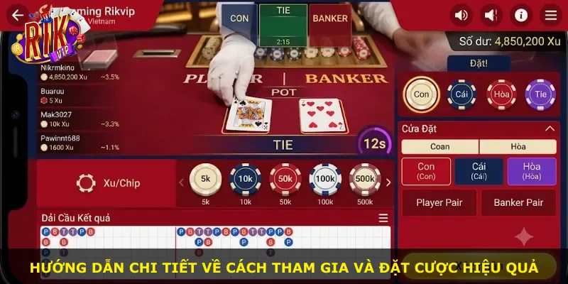 Hướng dẫn chi tiết về cách tham gia và đặt cược hiệu quả